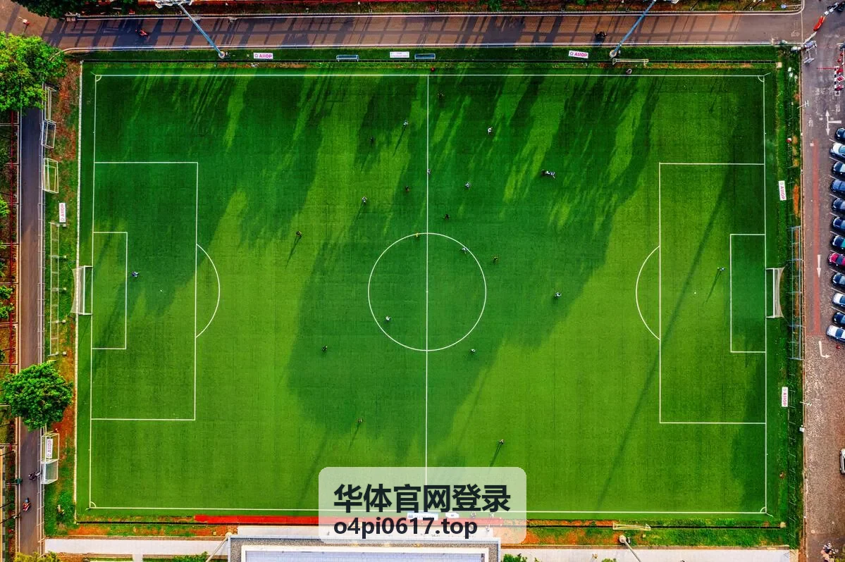 华体官网登录入口页面与账号验证操作示意